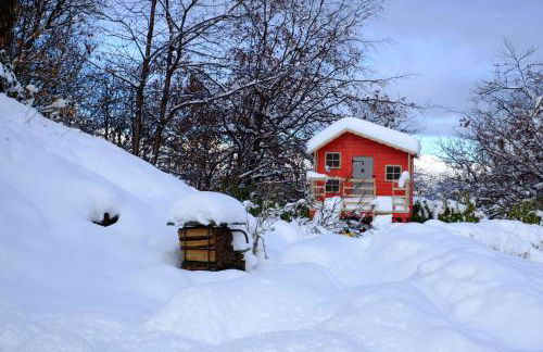 VILLA FELICE_UNESCO ALPS AREA - Foto 14