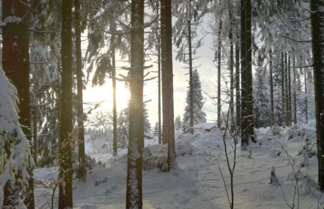 Holiday Home in Suhl Near Rennsteig Trail - Foto 32