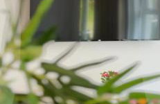 Forest Path Apartment Quiet Countryside Retreat with Sauna, Sleeps 4 - Foto 14