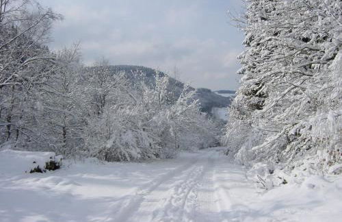 Haus Berghoff - Foto 22