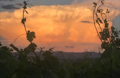 conGusto Apartments - Photo 29