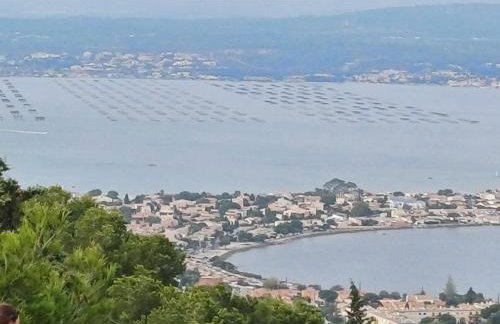 Marseillan Pomérols loue cottage - Foto 30