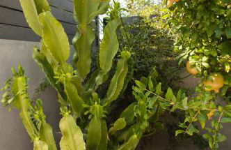 Karteros House 1300meters from the beach! - Foto 13