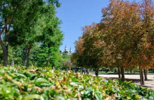 We Madrid Casa Duque - Photo 25