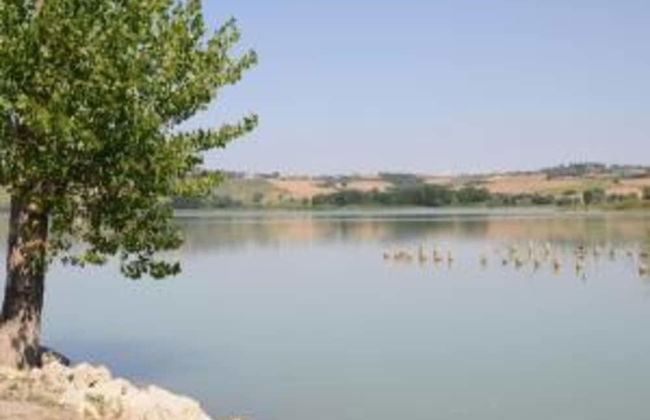 Holiday Home in Chiusi With Private Pool - Foto 32