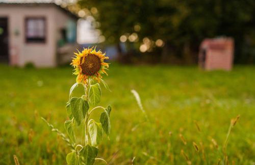 Arche Siedlisko Augustynka 39 - Foto 9