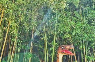 3BDR Classy Mid-Century Ground-Level Forsyth - Foto 17