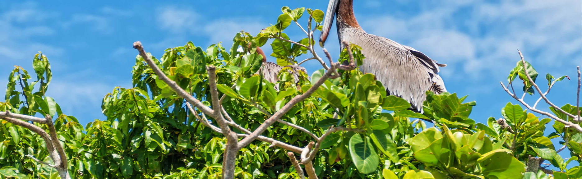 Escursione al Parco nazionale Los Haitises