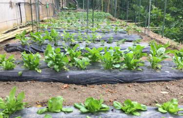 Ca' de Paggia - Foto 42