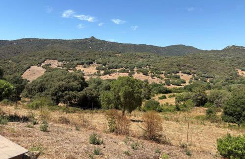 Entre mer et maquis- maison avec piscine privée - 8 minutes plage tizzano - Foto 34