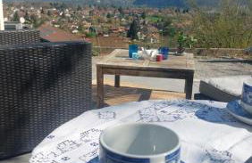 La Soldanelle vue lac et montagnes - Photo 9