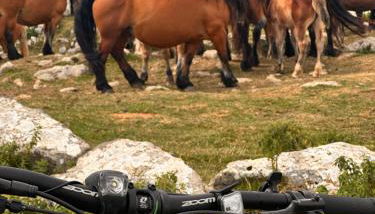 La central de Azparren, junto a la Selva de Irati - Foto 2