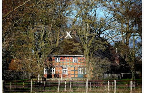 Auszeit vom Alltag in urigem Ferienhaus in idyllischer Natur im Dümmer-Weserland, Sauna & Kraniche - Foto 22