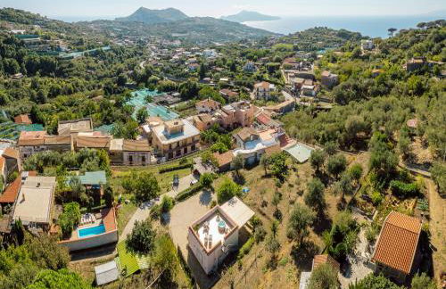 Albero di Giada - Foto 44