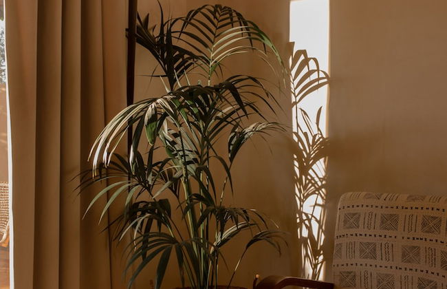 IUTA Glamping & Farm - Foto 26