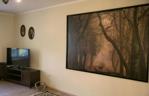 MCDreyer Ferienwohnung - Foto 34