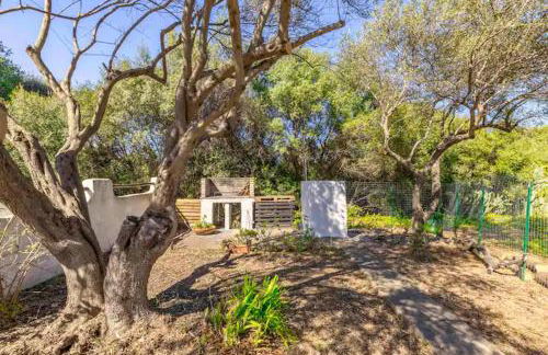 Terrace sea view - Porto Columbu - Foto 19