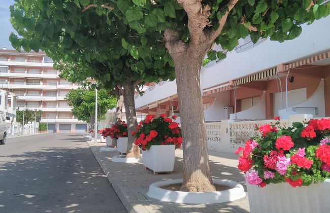 Alpen1 Voramar Apartamento /2 dormitorios - Foto 3