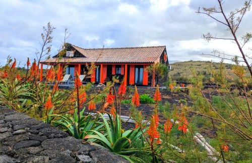 Casa Baleia Laranja Ocean-Front - Photo 1