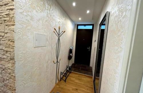 Am Gifizsee 3 Zim Apartment für Familien - Foto 19