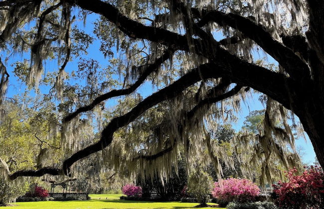 Wedgefield Country Club - Foto 1