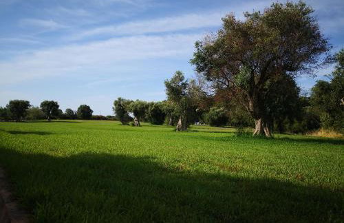 Villetta Porto Selvaggio - Foto 22