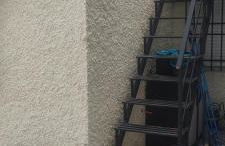 Naquera House & Pool - Foto 11