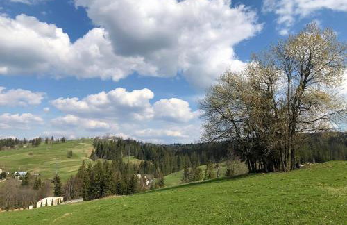 Bystre DOMKI - Foto 35