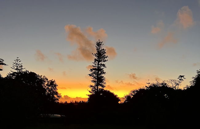 Meryta House - Foto 23