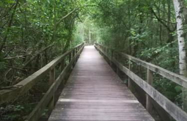 Ferienwohnung direkt am Steinhuder Meer - Foto 55