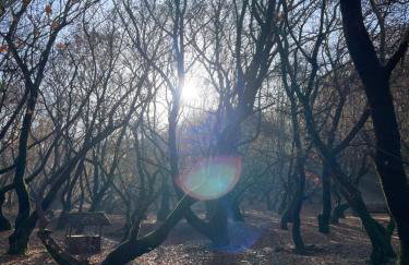 Mountain Hotels "Aroanides" - Foto 36