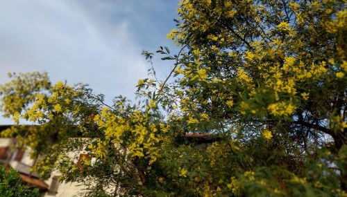 ospitalità rurale la Svizzera 2 - Foto 5