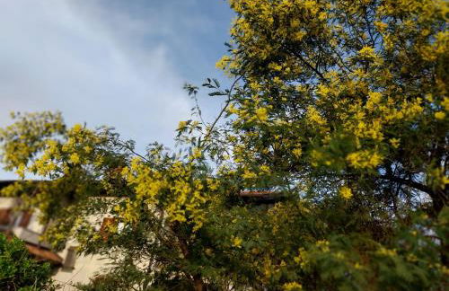 ospitalità rurale la Svizzera 2 - Foto 5