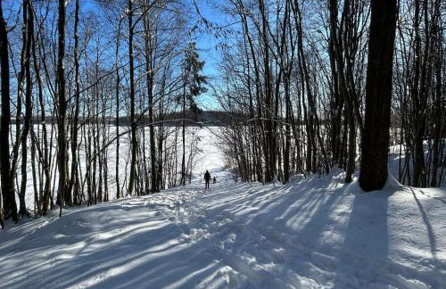 Biała Czapla - Foto 48