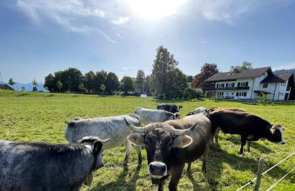Ferienwohnung Familie Zint - Foto 21