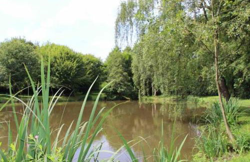 Fachwerkhaus im Sauerland - Goldhase Anno 1700 - Foto 56