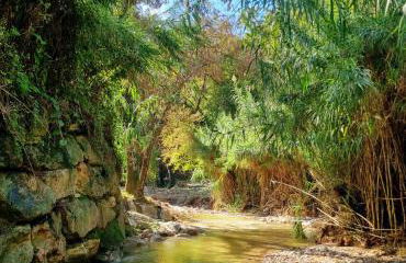 Villa Riviera - Foto 39