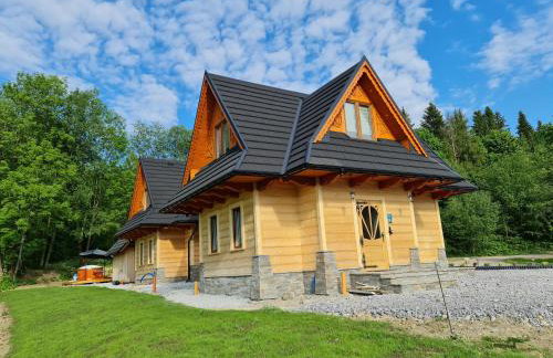 Żabie Dworki Witów Luxury Chalets & SPA - Foto 80