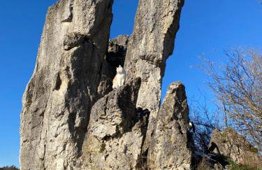 Gasthof zur Sägemühle - Foto 42