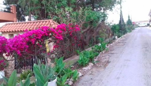 Casa Rural COMPLEX MASIA DEL TREMENDO y Agroturismo - Foto 5