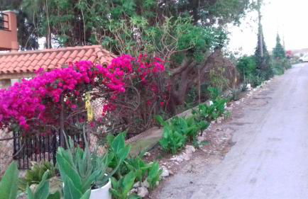 Casa Rural COMPLEX MASIA DEL TREMENDO y Agroturismo - Foto 5