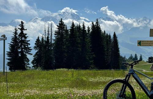 Le lodge de l alpage - Ski in ski out - 2 chambres 1 cabine - Foto 31