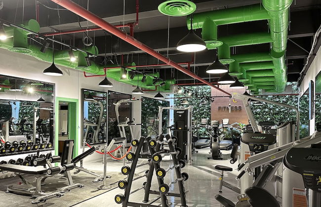 Kease Malqa B5-6 Royal Touch XZ43 - Foto 23