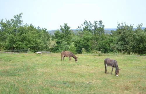 Alluring Holiday Home in Largentière with Pool - Foto 40