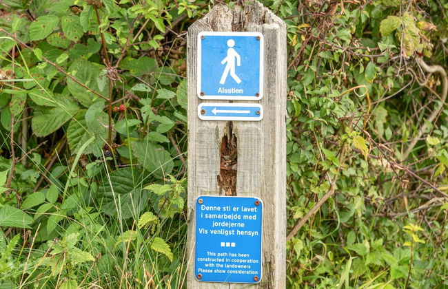 "Gudmunde" - 200m from the sea - Foto 19