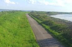 Casa Vacanze Nel Delta del Po - Foto 9