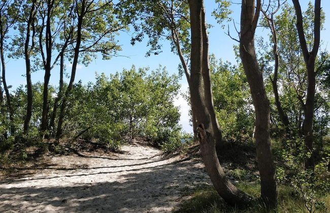 3 Person Holiday Home in Hunvigan-by Traum - Foto 7