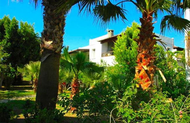 Alfa Apart Otel - Photo 21