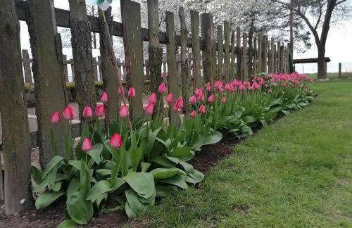 Domek na wsi Wiejsko Czarodziejsko - Agroturystyka Podlasie - Foto 70