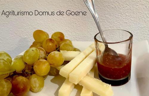 Domus de Goene - Foto 48